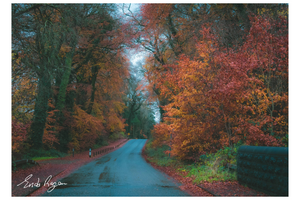 Open image in slideshow, Autumn Colours
