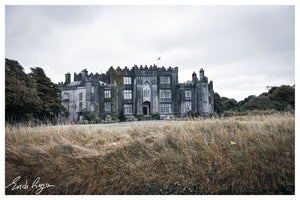 Open image in slideshow, Birr Caslte, County Offaly 
