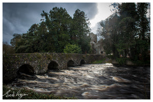 Open image in slideshow, Boyle River and Abbey
